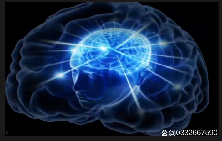 知名短视频博主被曝数据造假：百万播放量竟是水军刷出来的